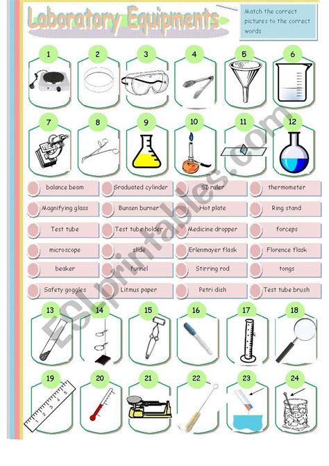 Laboratory Equipments Esl Worksheet By Leien29 Laboratory Equipment