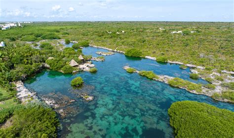 Guide To Visit Yal Kú In Akumal