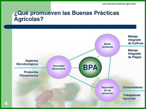 Las Buenas Prácticas Agrícolas BPA en búsqueda de la sostenibilidad