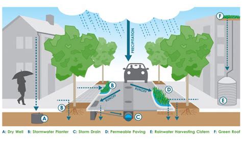 As Cities Interest In Green Infrastructure Grows So Does The Need To