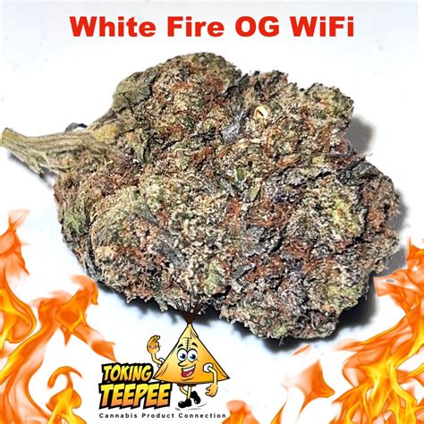 Wifi White Fire OG Strain Canada