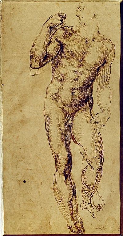 Impression D Arts De Michelangelo Buonarroti