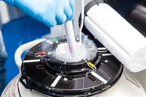 What Are the Success Rates of Using Frozen Embryos in Your IVF Cycle?