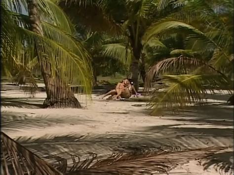 Love On The Beach Pussy Licking Pussy Fucking Orgasm In Mouth XHamster
