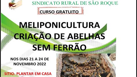 Curso Meliponicultura Cria O De Abelhas Sem Ferr O Gratuito Youtube