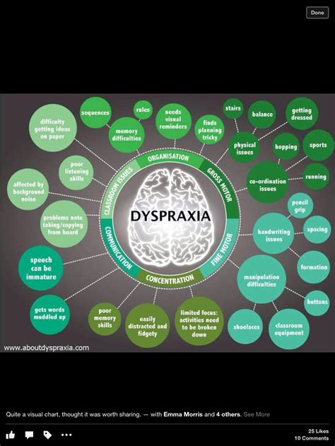 Dyspraxia Graphic Psychologie Neurologie Pathologie