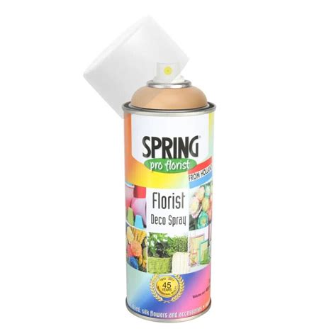 Florist Craft Spray Paint Ideal Flowers Colour Satinwood Etsy