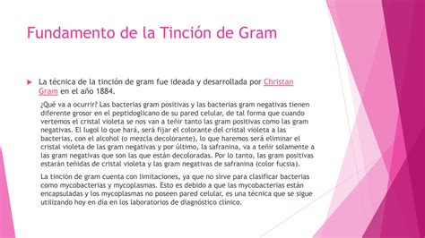 Solution Tinci N Simple Y Tinci N Diferencial De Gram Studypool