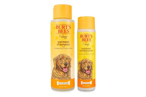 Best Dog Shampoo and Conditioner in 2024 | PawTracks