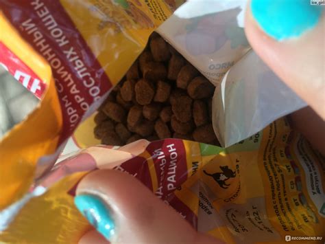 Корм для кошек Katty С говядиной новая рецептура - «Довольно неплохой ...