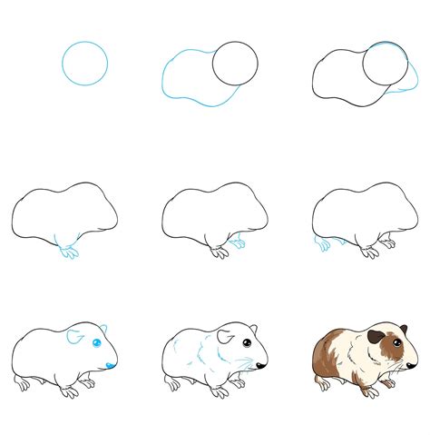 guinea pig drawing