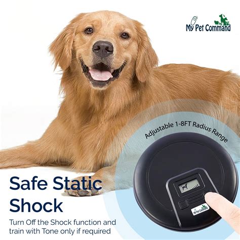 Wireless Tone & Shock Correction Indoor Pet Barrier – My Pet Command