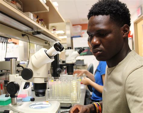 Neighborhood Learning Alliance - United Way of Southwestern Pennsylvania