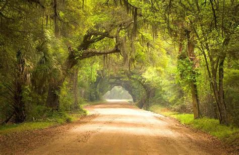 12 Chilling Charleston Ghost Tours | Disha Discovers