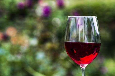 Merano Wine Festival Date Orari Biglietti Prezzi E Programma