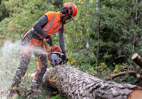 C Mo Usar Una Motosierra Los Mejores Consejos Tiendahusqvarna