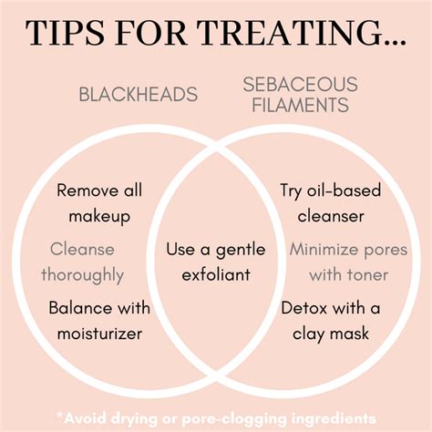 Blackheads vs. Sebaceous Filaments: Which Do You Have?