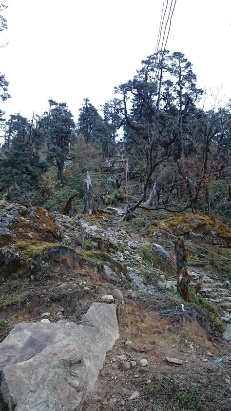 Free Images Tree Rock Wilderness Walking Trail Mountain Range