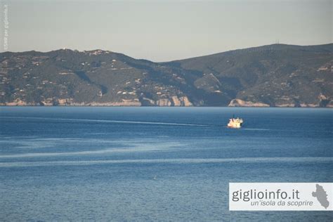 Orario Invernale Dei Traghetti 2024 2025 Isola Del Giglio