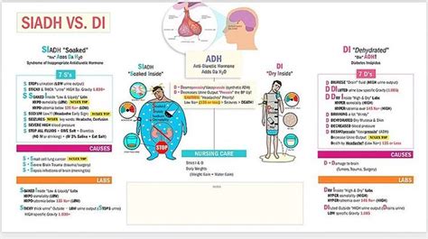 New Siadh Vs Di Simply Follow The 7 S’s And 7 D’s 💕💪🏽 These New Cheat Sheets With A Foll In 2020