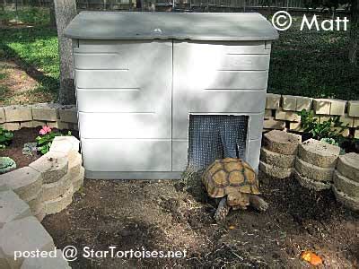 DIY Heated Tortoise House - petdiys.com