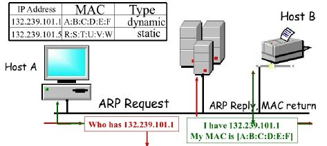 ARP request ans ARP reply | Download Scientific Diagram