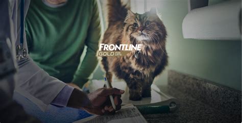 FRONTLINE® Gold for Cats | Triple Action Topical Flea and Tick Treatment