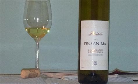 Plantaže Pro Anima Chardonnay Sauvignon 2014 Zapisi jednog Merloa