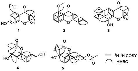 红树尖瓣海莲内生真菌来源的苯并吡喃酮衍生物及其制备方法与应用与流程 3