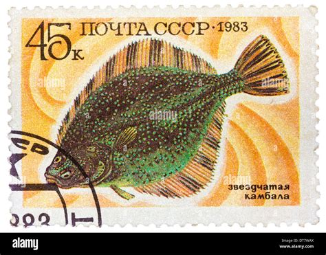 RUSSIA CIRCA 1983 Stamp Printed By Russia Shows Underwater Fish