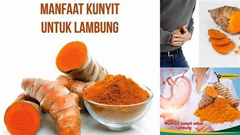 Temukan Manfaat Kunyit Untuk Lambung Yang Jarang Diketahui