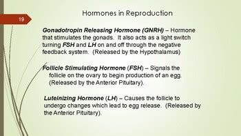 Genetics and Reproduction Powerpoint by Cassandra's Ag Curriculum