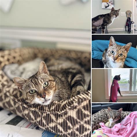 Exploits - Today was a hard one.. we said goodbye to one of our shelter