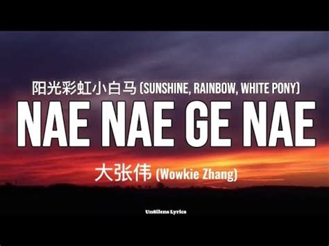 Nae Nae Ge Nae Nae Wowkie Zhang Sunshine Rainbow White Pony