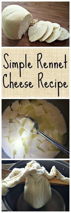 Simple Rennet Cheese Recipe Food Recipes Homemade Cheese Rennet