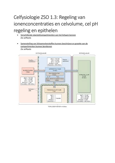 Celfysiologie Zso Samenvatting Celfysio Celfysiologie Zso