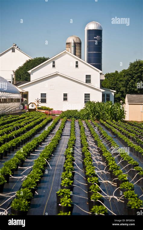 Amish farm house Lancaster PA Stock Photo - Alamy