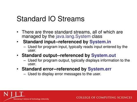 standard input output  error powerpoint