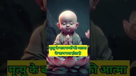 मृत्यु के बाद बच्चों की आत्मा कहां जाती है । रोचक तथ्य Sanatandharma