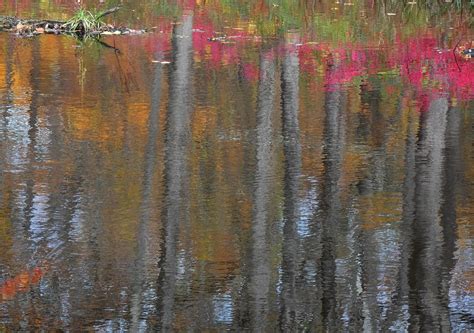 Autumn Tree Reflection Stanley Zimny Thank You For Million Views