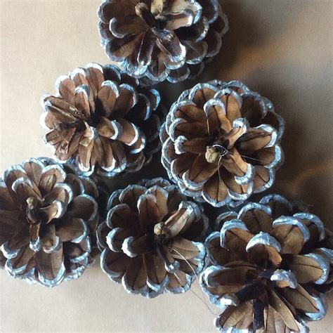 Painted Pine Cones Etsy