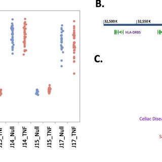 HLA Expression In JIA Patients A HLA DQA2 Gene Expression In