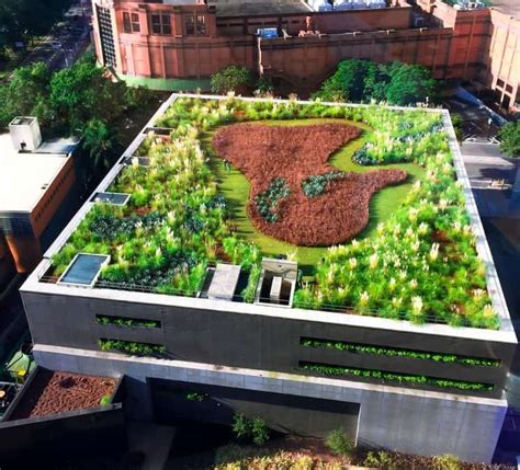 What Are The Benefits Of Green Roofs Marlo Hydroponic Skincare