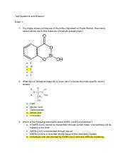 Bisc 160 Questions Pdf Test Questions And Answers Exam 1 1 The