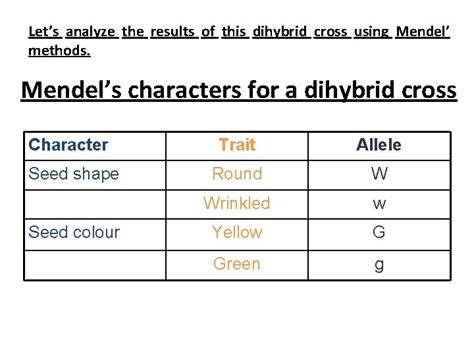 DIHYBRID CROSS Studying The Inheritance Of Two Characters