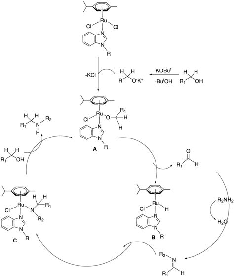 A Proposed Mechanism For Ru II Azole Catalyzed For Nalkylation