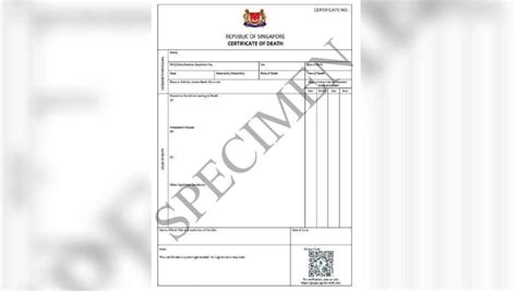 No More Physical Birth And Death Certificates From May 29 Ica To Issue Digital Certificates