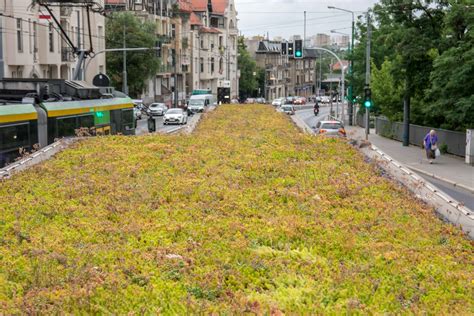 Zielone Wiaty Przystankowe Garte