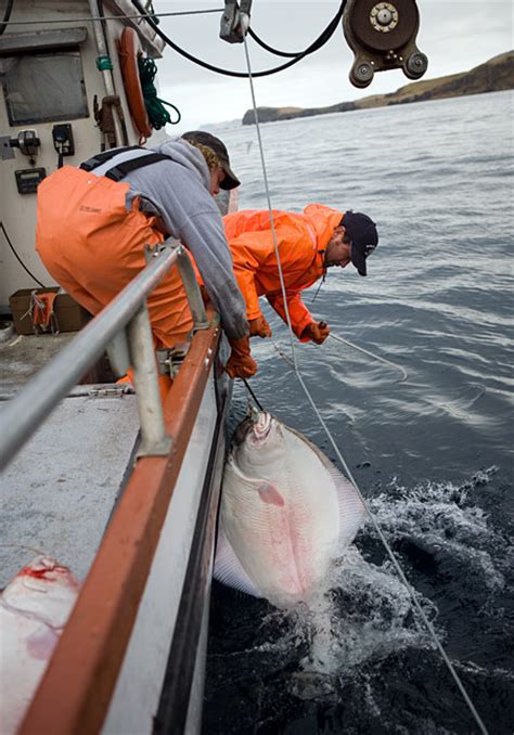 How To Be An Alaskan Fisherman Neatorama