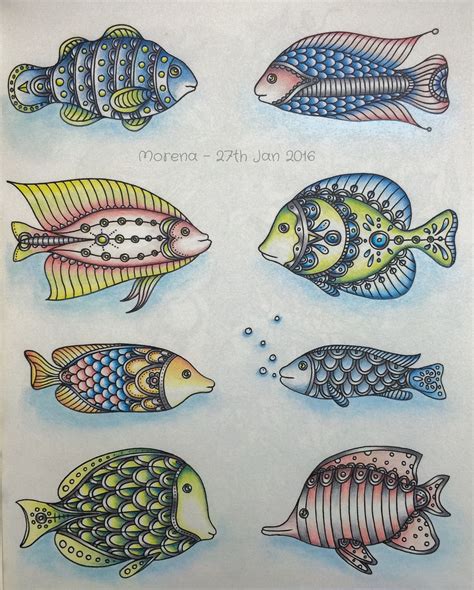 Different Types Of Fish Drawing